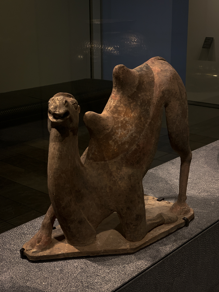 Bactrian Camel
China 700-800, H. 37, l. 34 cm; terracotta, Musée national des arts asiatiques - Guimet 